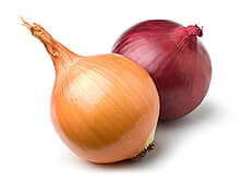 Onion - Allium cepa L.